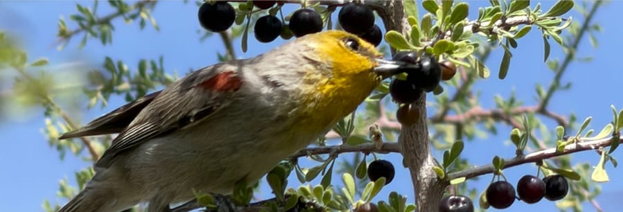 Monthnotes 31 Mar 2026